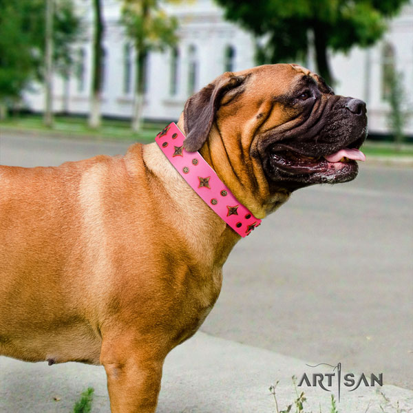 Bullmastiff adorned natural genuine leather dog collar for your stylish doggie