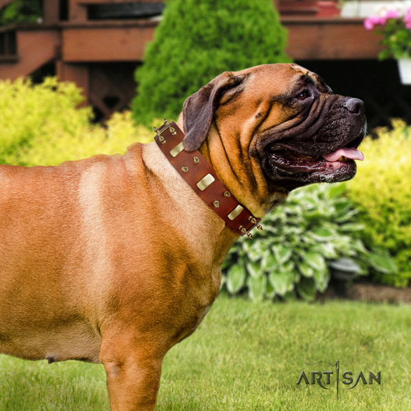 Bullmastiff embellished leather dog collar for your attractive doggie