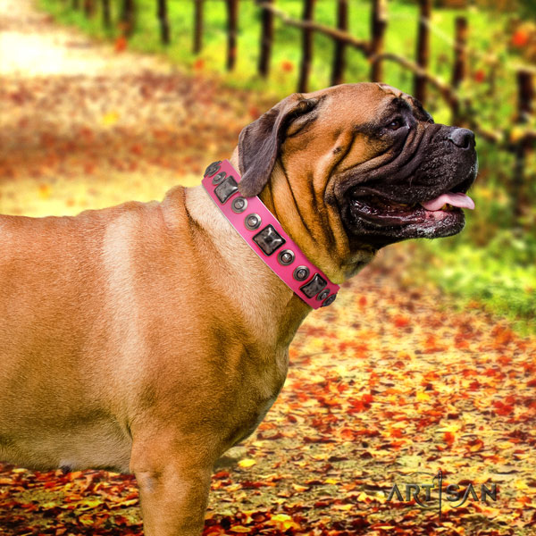 Bullmastiff decorated leather dog collar for your lovely pet