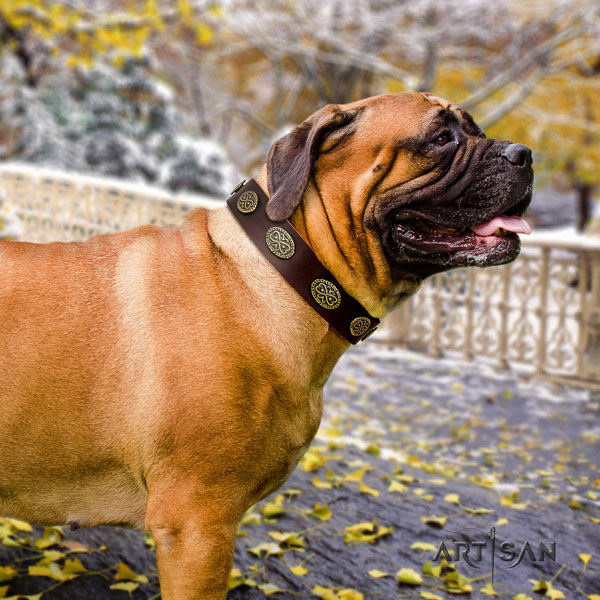 Bullmastiff decorated full grain leather dog collar for your lovely dog