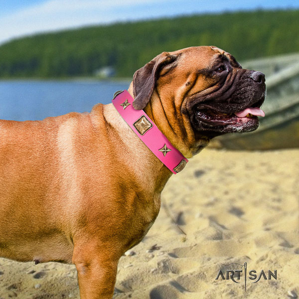 Bullmastiff stylish walking genuine leather collar with embellishments for your pet