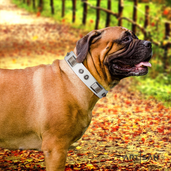 Bullmastiff natural genuine leather dog collar with adornments for your attractive doggie