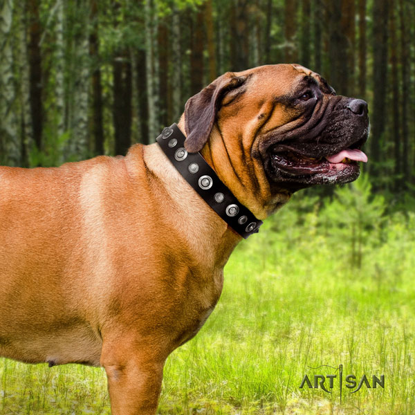 Bullmastiff natural genuine leather dog collar with embellishments for your lovely dog