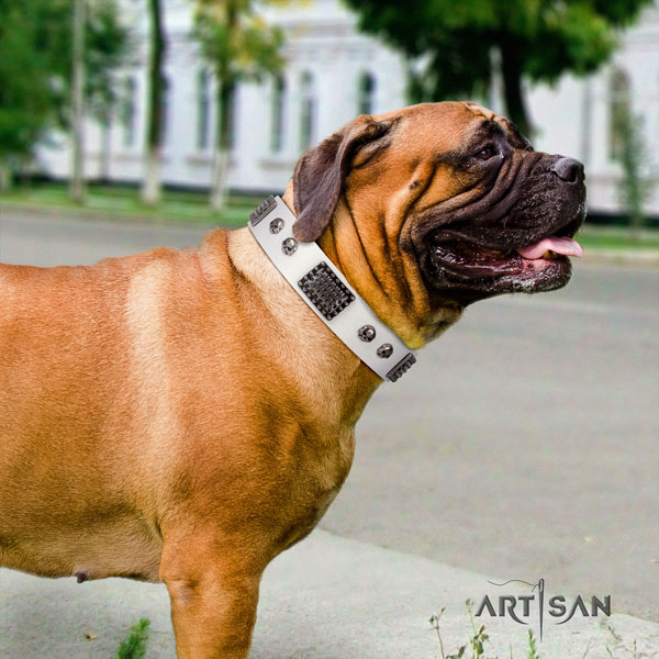 Bullmastiff studded full grain genuine leather dog collar for your handsome four-legged friend