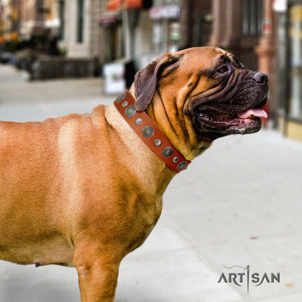 Bullmastiff full grain genuine leather dog collar with decorations for your impressive four-legged friend