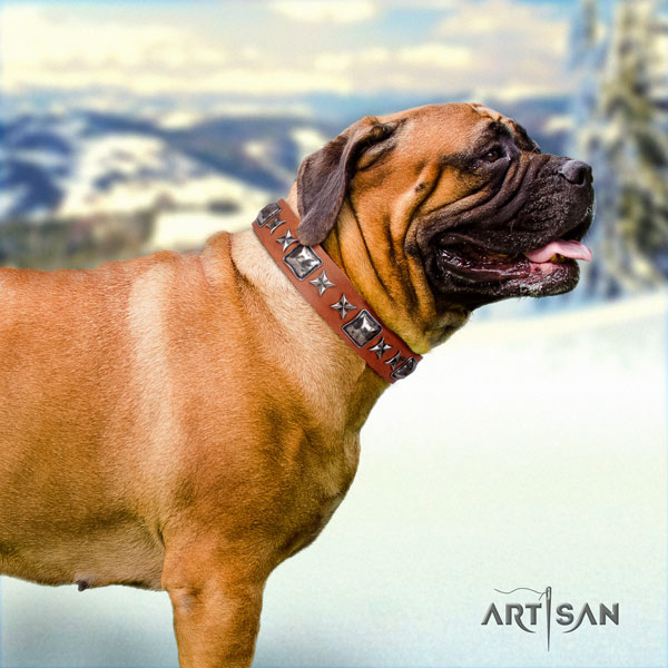 Bullmastiff adorned full grain leather dog collar for your impressive dog
