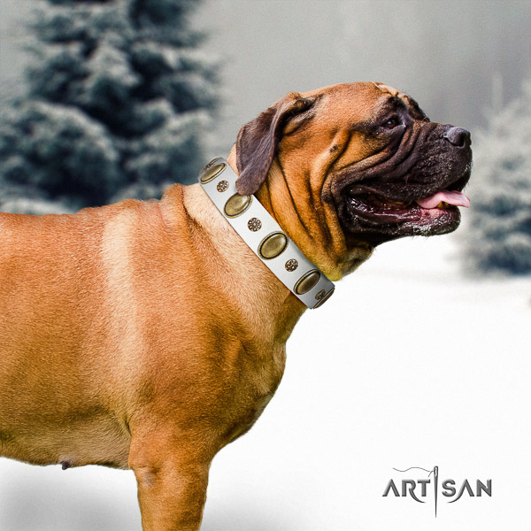 Bullmastiff comfy wearing genuine leather collar with embellishments for your canine