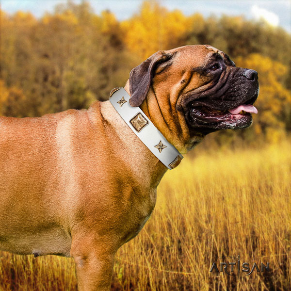 Bullmastiff basic training full grain leather collar with decorations for your dog