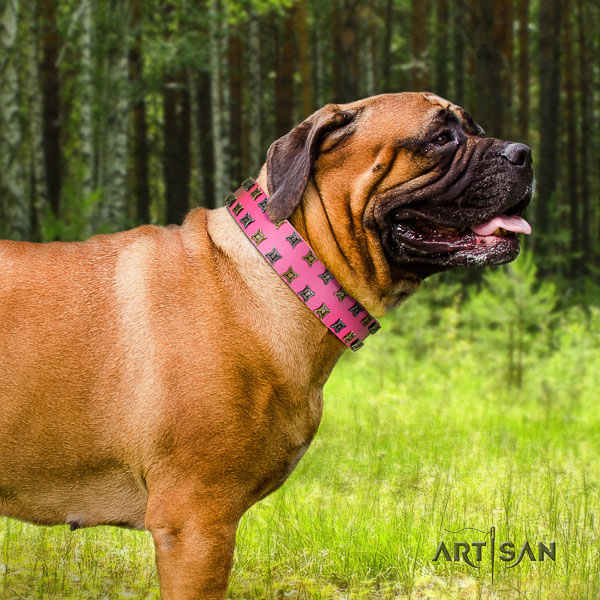 Bullmastiff daily use full grain leather collar with studs for your pet