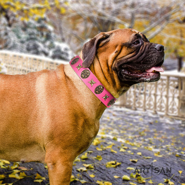 Bullmastiff fancy walking full grain leather collar with embellishments for your doggie