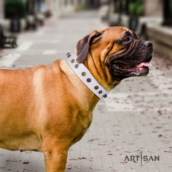 Bullmastiff decorated natural leather dog collar for your handsome canine
