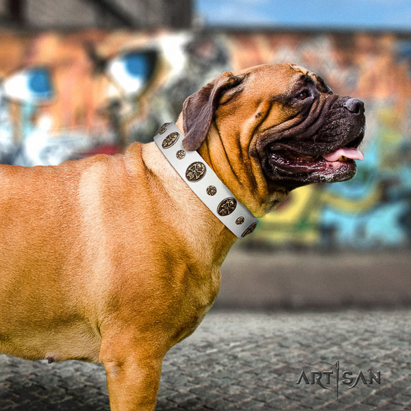 Bullmastiff easy wearing genuine leather collar with adornments for your dog