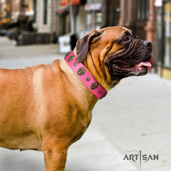 Bullmastiff comfy wearing full grain leather collar with adornments for your dog