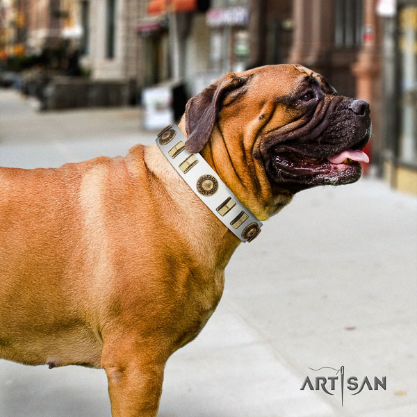 Bullmastiff stylish walking natural leather collar with decorations for your pet