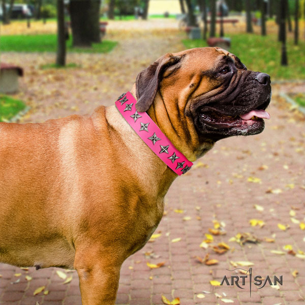 Bullmastiff genuine leather dog collar with embellishments for your beautiful dog