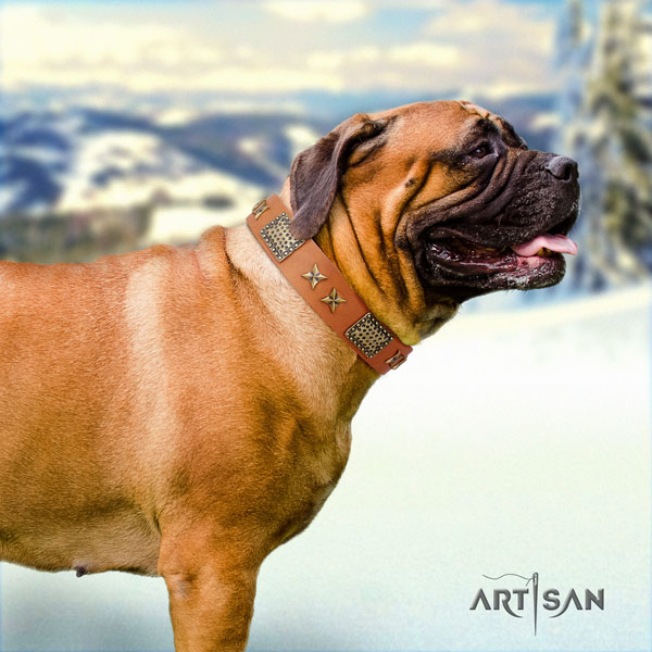 Bullmastiff adorned full grain leather dog collar for your impressive doggie