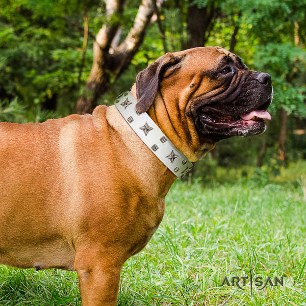 Bullmastiff fashionable full grain leather dog collar with embellishments for stylish walking