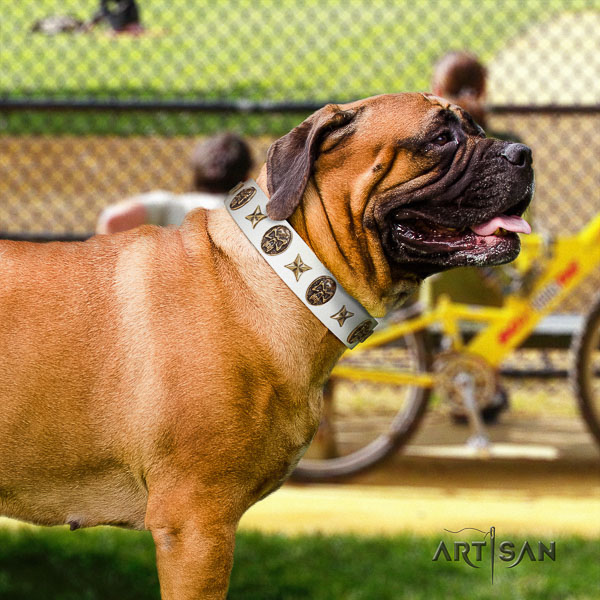 Bullmastiff walking natural leather collar with embellishments for your pet