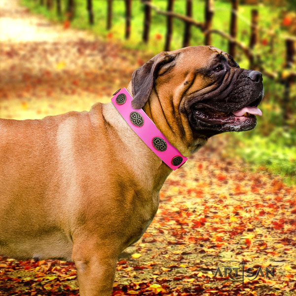 Bullmastiff adorned natural genuine leather dog collar for your lovely four-legged friend
