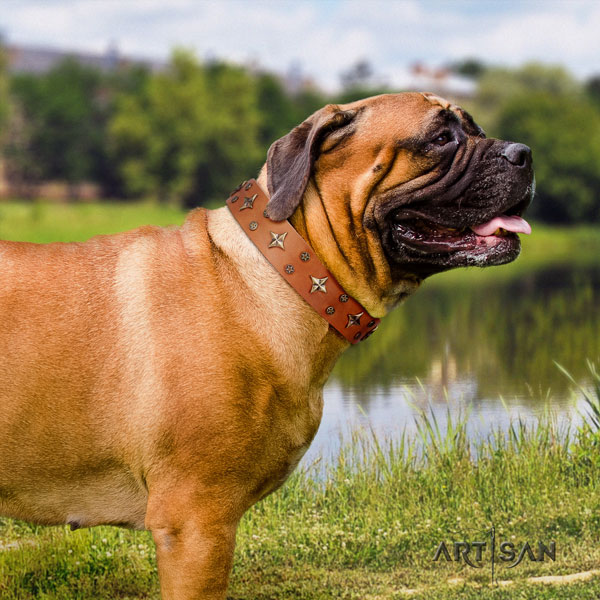 Bullmastiff decorated leather dog collar for your beautiful dog