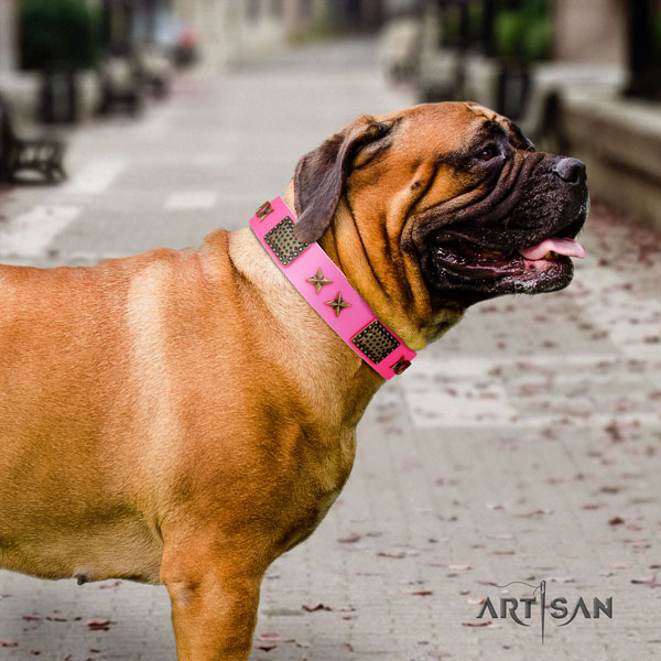 Bullmastiff decorated leather dog collar for your attractive dog