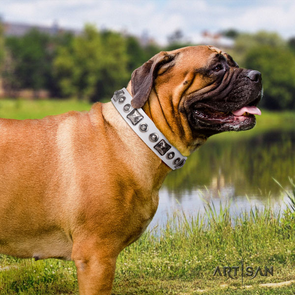 Bullmastiff studded full grain leather dog collar for your beautiful four-legged friend