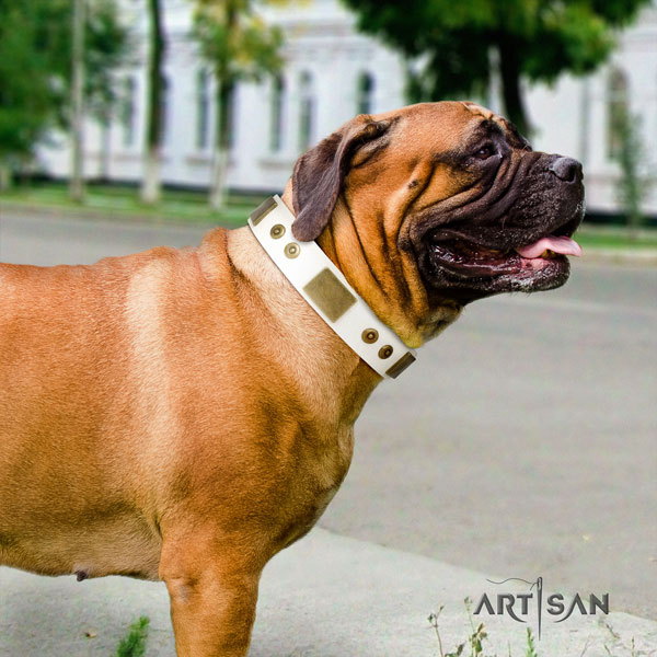 Bullmastiff embellished leather dog collar for your impressive doggie