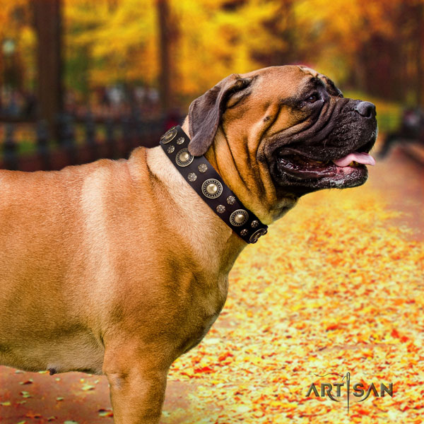 Bullmastiff adorned leather dog collar for your lovely doggie