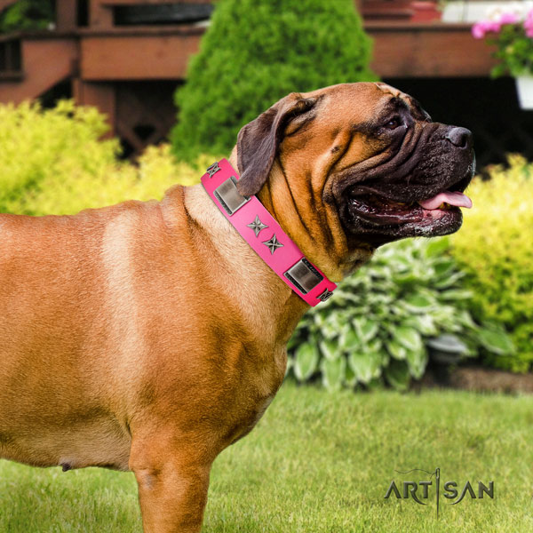 Bullmastiff full grain natural leather dog collar with studs for your impressive canine