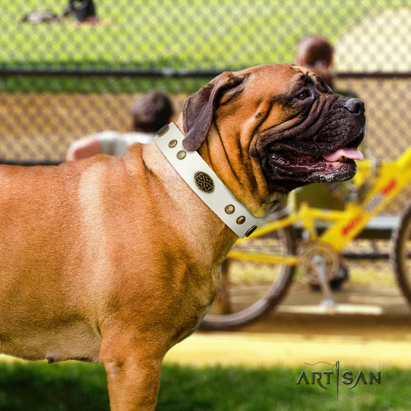 Bullmastiff natural genuine leather dog collar with adornments for your lovely dog