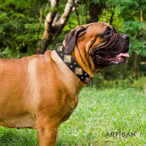 Bullmastiff adorned leather dog collar for your handsome pet