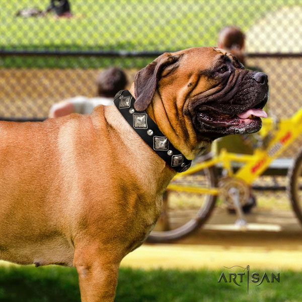 Bullmastiff studded full grain genuine leather dog collar for your impressive doggie