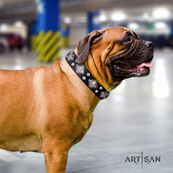 Bullmastiff studded genuine leather dog collar for your stylish canine