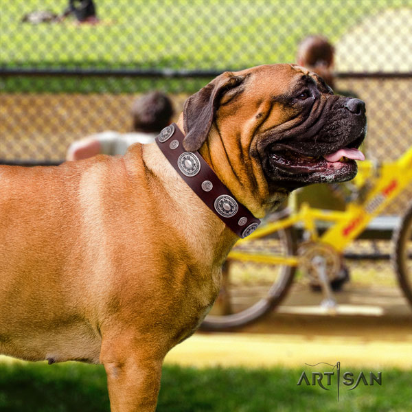 Bullmastiff decorated full grain natural leather dog collar for your stylish four-legged friend