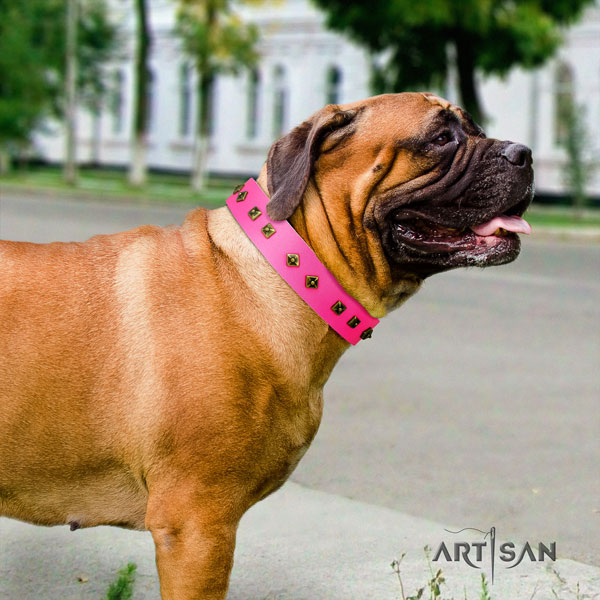 Bullmastiff decorated leather dog collar for your beautiful doggie
