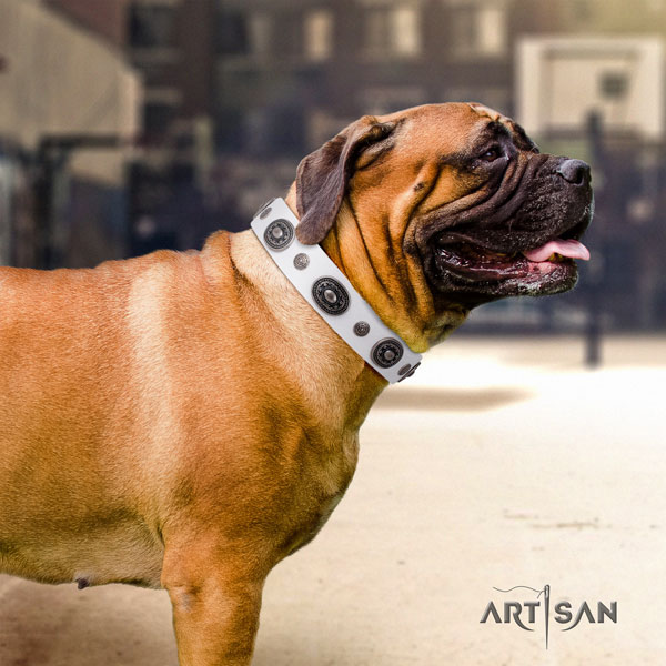 Bullmastiff adorned genuine leather dog collar for your impressive canine