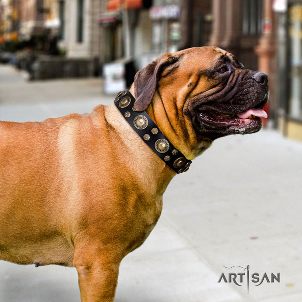 Bullmastiff studded full grain leather dog collar for your stylish canine