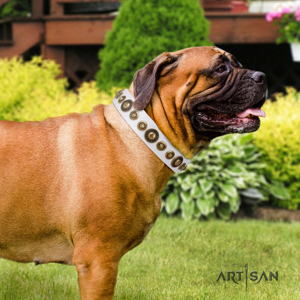 Bullmastiff adorned full grain leather dog collar for your lovely canine