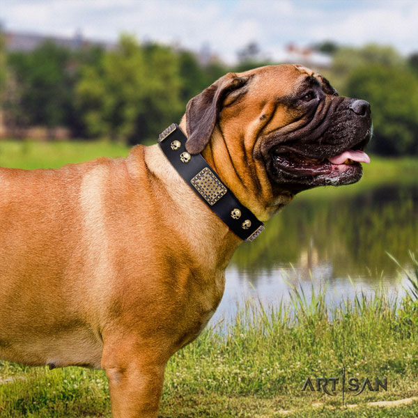 Bullmastiff adorned leather dog collar for your handsome doggie