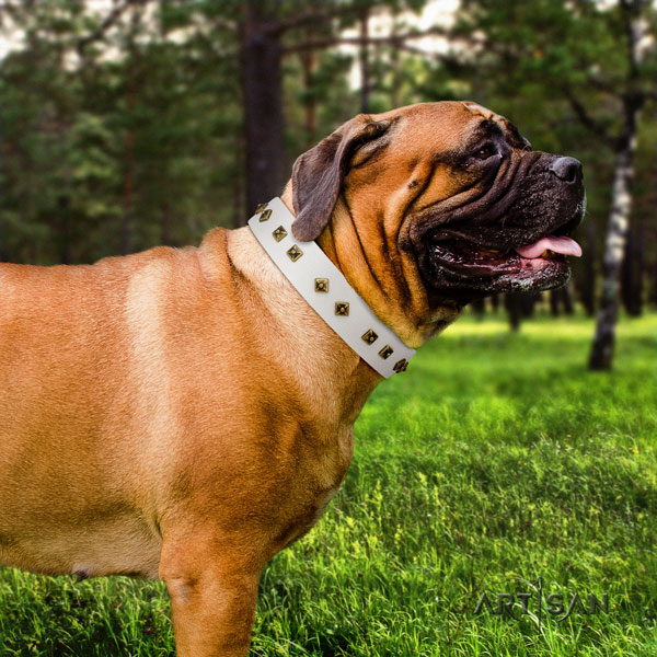 Bullmastiff decorated natural genuine leather dog collar for your stylish doggie