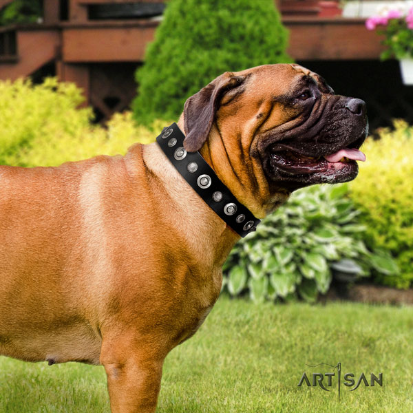 Bullmastiff full grain natural leather dog collar with embellishments for your stylish canine