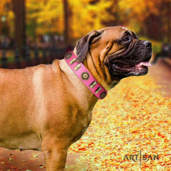 Bullmastiff basic training full grain genuine leather collar with decorations for your pet