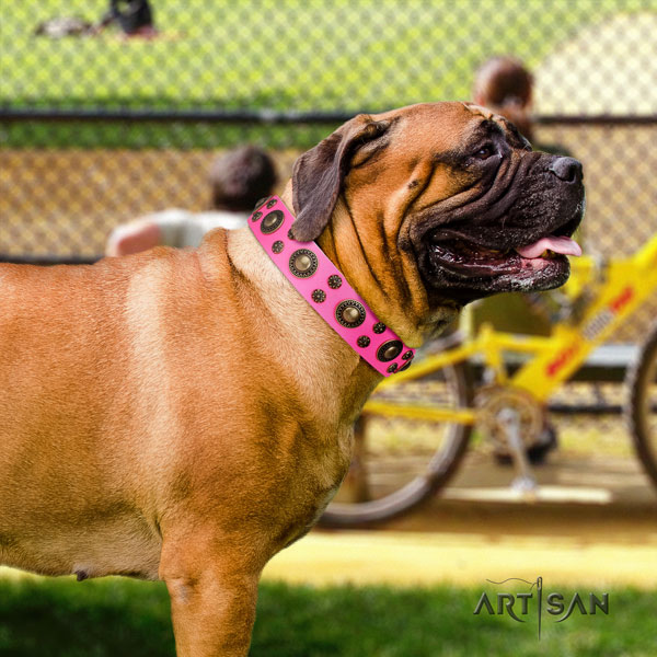 Bullmastiff embellished full grain leather dog collar for your beautiful dog