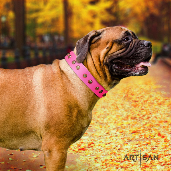 Bullmastiff adorned leather dog collar for your lovely pet