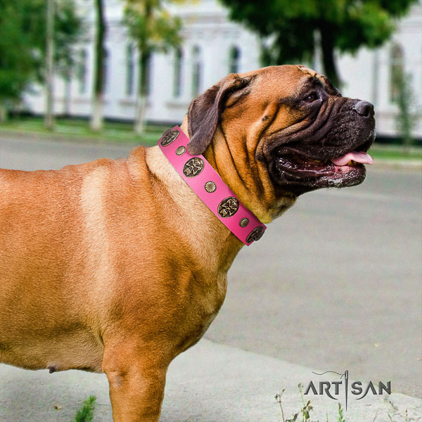 Bullmastiff handy use leather collar with studs for your doggie