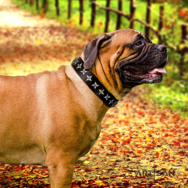 Bullmastiff full grain natural leather dog collar with decorations for your lovely four-legged friend