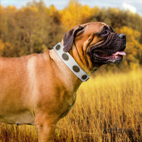 Bullmastiff studded natural genuine leather dog collar for your impressive dog
