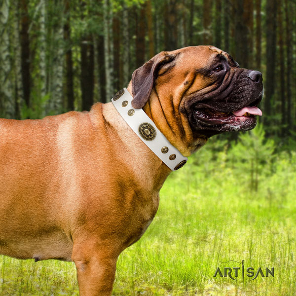 Bullmastiff adorned genuine leather dog collar for your lovely four-legged friend