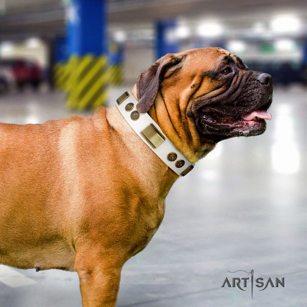 Bullmastiff decorated full grain leather dog collar for your lovely four-legged friend