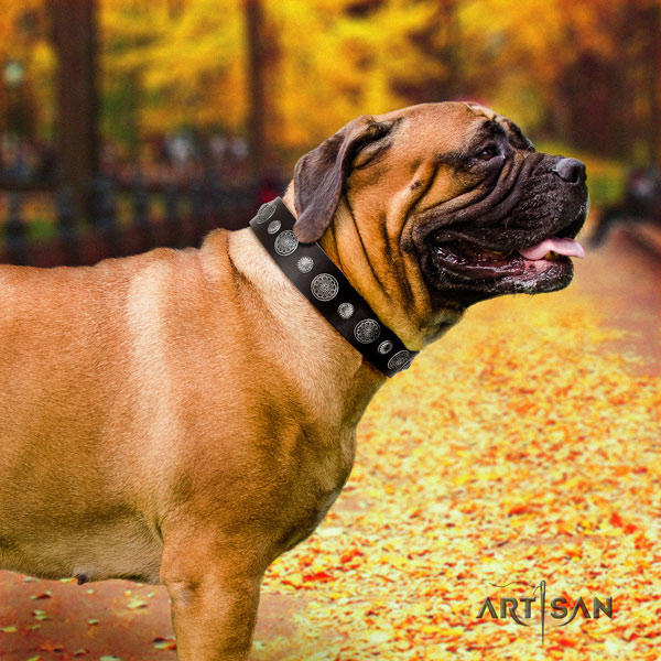 Bullmastiff leather dog collar with decorations for your beautiful dog